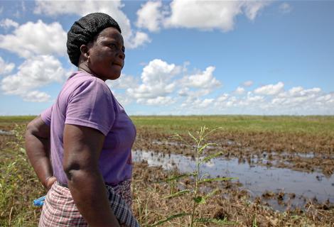 A woman farmer surveys her field, recently flooded after months of drought 