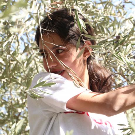 Raneem is a Palestinian young woman who volunteered in olive picking in Walageh