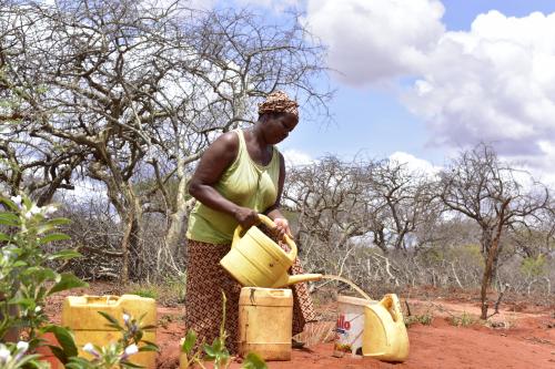 A photo of Grace Mjomba, who was forced to flee her home