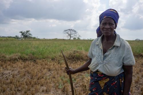 Sophia stands at her farm where her crop was damaged by Cylone Idai