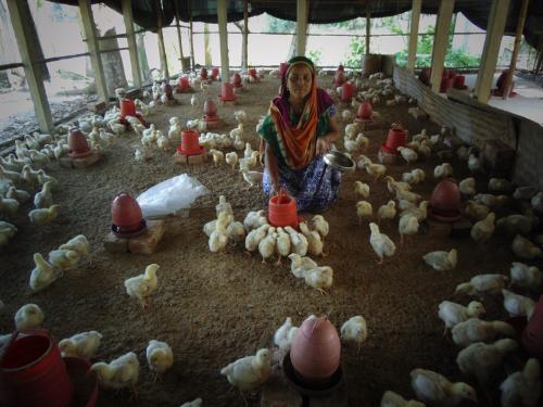 Dulali in her chicken shed