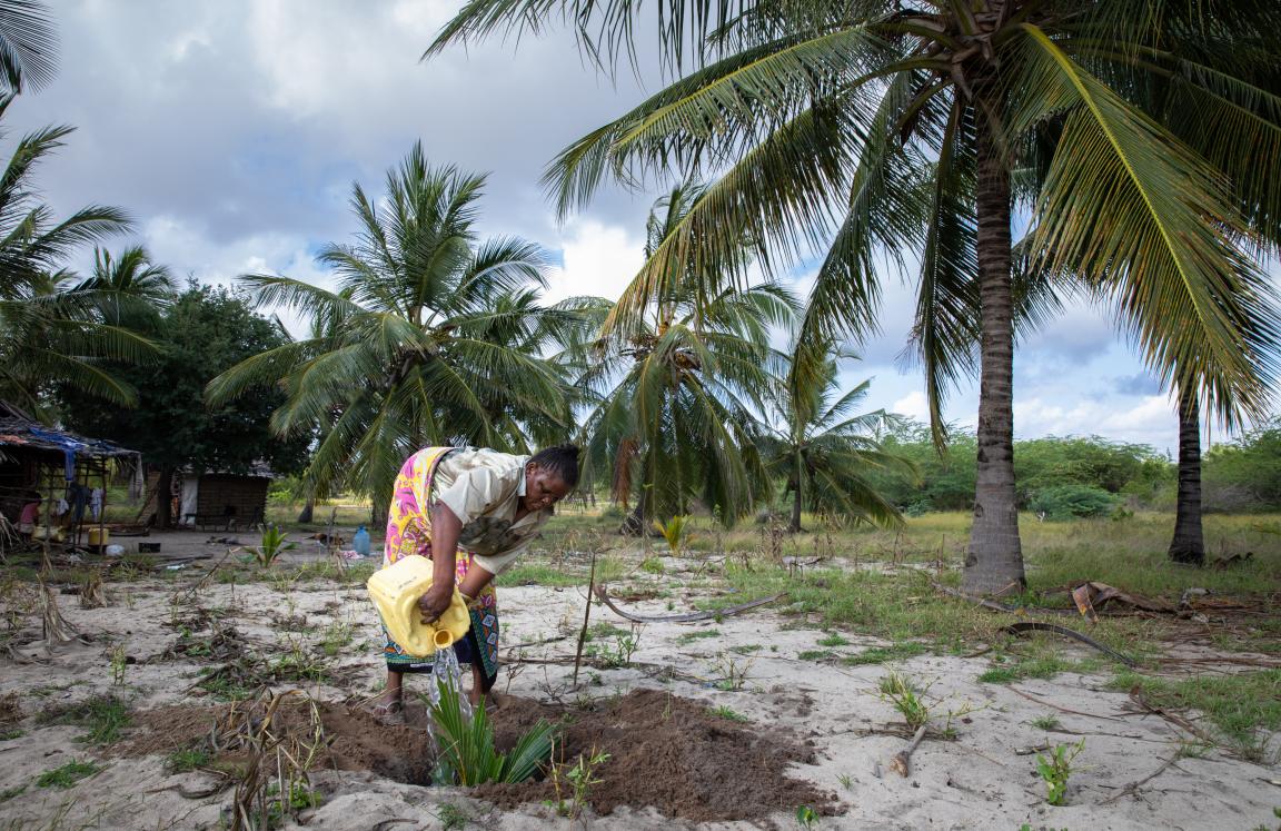 Janet begins repairs to her damaged land.