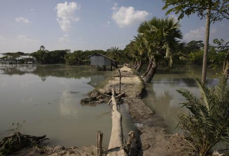 Embankment at Lalua Union, Southern Bangladesh.