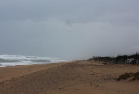 The beach, before Cyclone Fani hits the Puri district