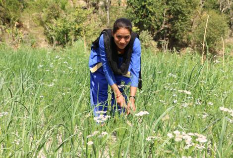 A woman in Nepal working on a farm