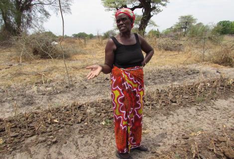 Patricia Musweu stands on her dry farm land