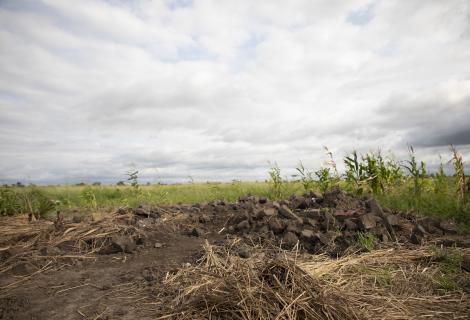 A photo of land impacted by climate change