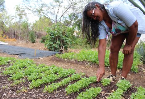 A woman farmer in Brazil