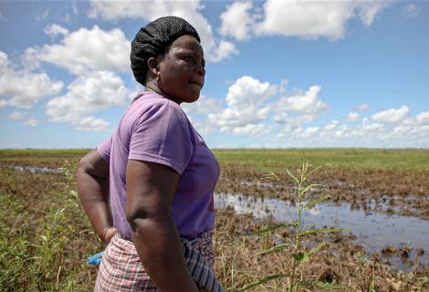 Flooding in Sofala province, Mozambique, once again destroyed harvests and homes.