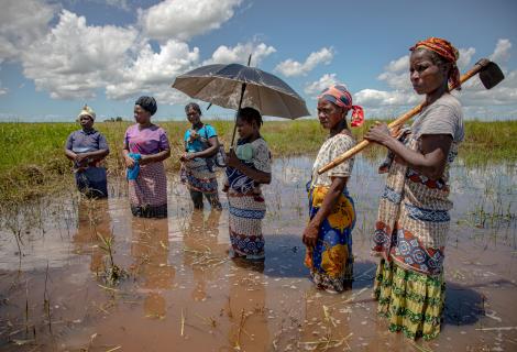 The climate crisis is pushing the women farmers of Buzi to the brink.