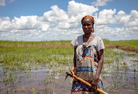 A woman farmer in a flooded field in Mozambique