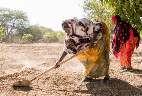 Maryan Muhumed Hudhun, age 48, Ceel-Giniseed Community, Somaliland