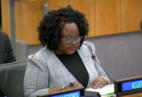 Delegate from Nigeria at the UN discussing the resolution