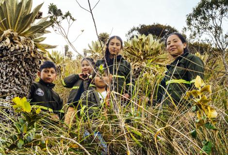 Environmental Indigenous Guard, Colombia