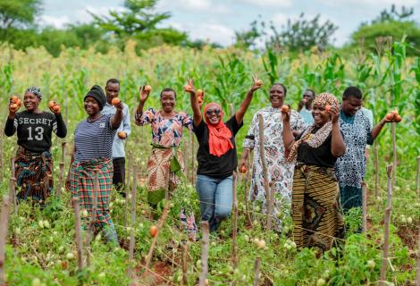 Planting the future; unleashing the power of seeds