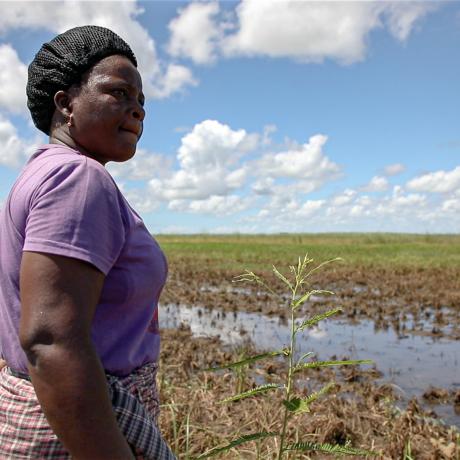 Angelina's crops were devastated when Cyclone Idai struck Mozambique in 2019.