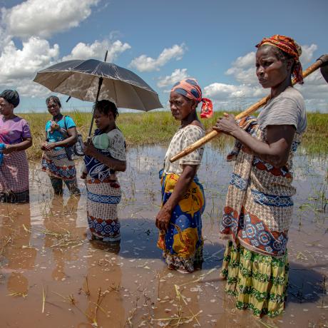 The climate crisis is pushing the women farmers of Buzi to the brink.