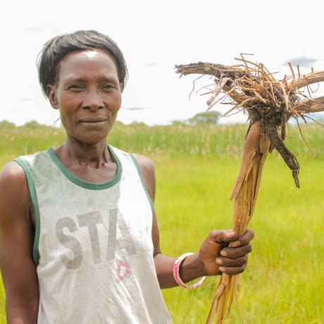Nalishebo's family faced a hunger crisis as poor harvests hit the Nalolo region of Zambia. 