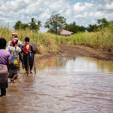 Women farmers wade through flooded rice fields in Mozambique
