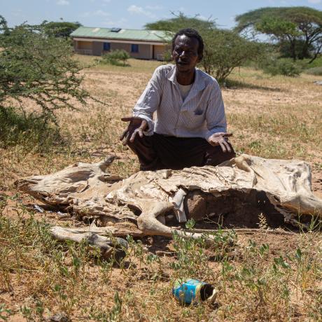Sugow Abdullahi Abdi, a farmer, stands over one of his deceased animals.