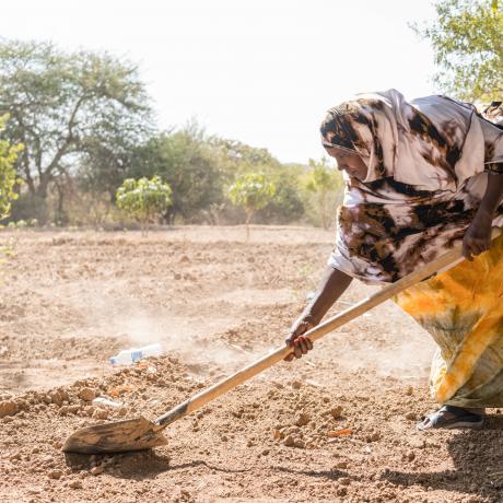 Maryan Muhumed Hudhun, age 48, Ceel-Giniseed Community, Somaliland
