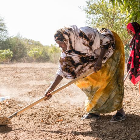 Maryan Muhumed Hudhun, age 48, Ceel-Giniseed Community, Somaliland
