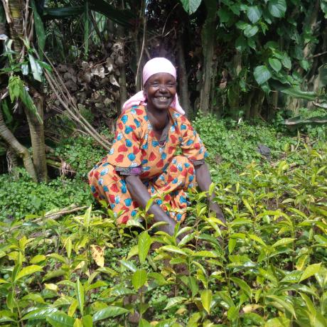 Dushiku Kajin, with her coffee seedlings