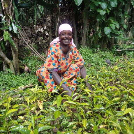 Dushiku Kajin, with her coffee seedlings 