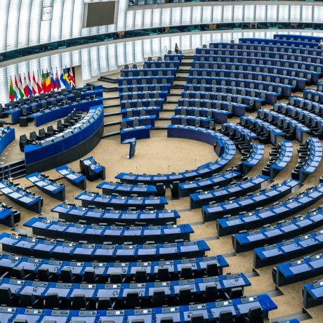 The European Parliament 