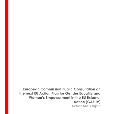 GAP IV ActionAid input
