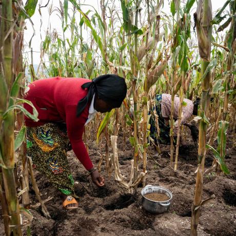 women farmers in Rwanda taking care of their fields