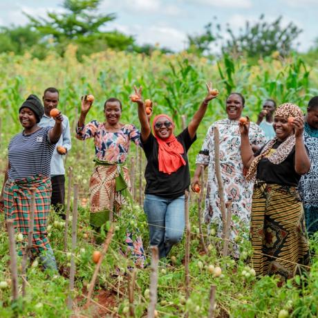Planting the future; unleashing the power of seeds