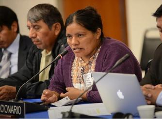 Margarita represents the case of communities affected by the contamination of La Pasión River in Guatemala.