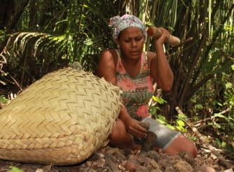 A photo of a Babassu woman working with coconuts