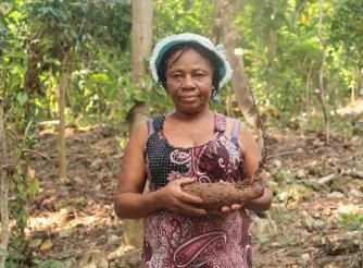Haiti’s PARAGA project assisted Elisée Elitane of Bois Neuf Malor to  improve her cultivation of yam and banana.
