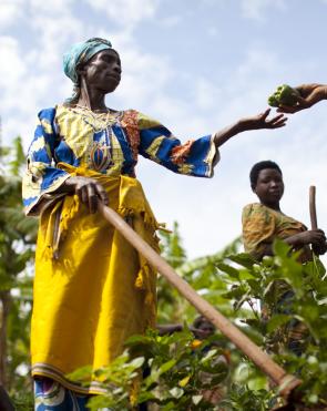 Domina with members of her farming cooperative in Rwanda.