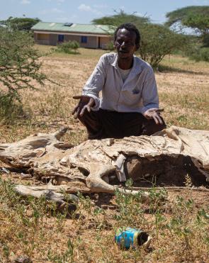 Sugow Abdullahi Abdi, a farmer, stands over one of his deceased animals.