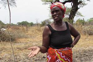 A farmer in a dusty farm in Zambia