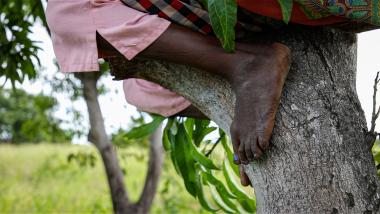 Marta up a tree