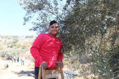 Abed Al-Rahman volunteered to pick olives to support communities in the occupied Palestinian territory