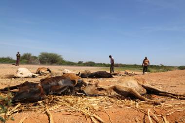 Amina Aden Salat, 70, stands with two children and two goats.